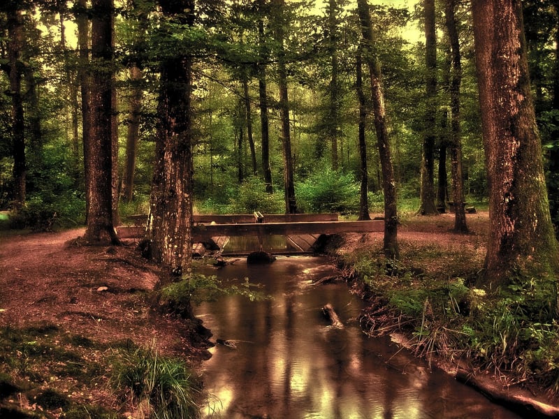RV Park